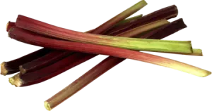 Rhubarbe Vrac Au Kg