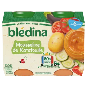 Petit pot bébé dès 6 mois mousseline de ratatouille 2x200g - BLEDINA