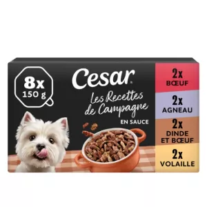 Mini paté di filetto di cane in salsa 8x150g - CÉSAR