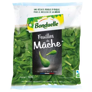 Feuille De Mache 100g Bonduell