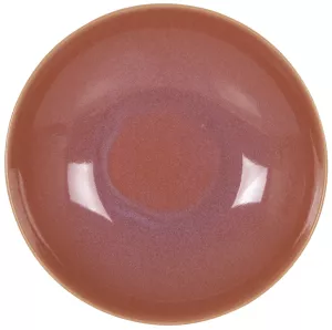 Ass Dessert D 21cm Terra