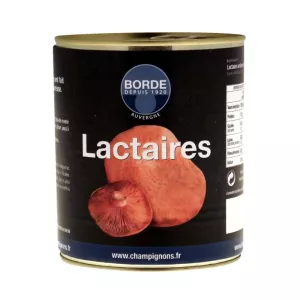 डिब्बाबंद मिल्कवीड; 395 ग्राम - BORDE