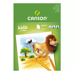 Bloc 30f Dessin Blanc A4 90g