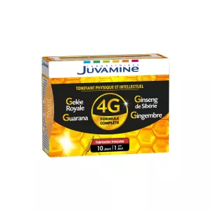Körperlich und geistig stärkendes Nahrungsergänzungsmittel 4 g x 10 – Juvamine