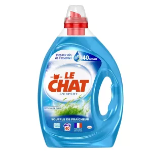 Le Chat Souffle De Fraicheur 2