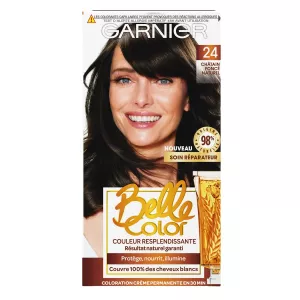 Coloration Cheveux Permanente 24 Chatain Foncé Naturel belle color - GARNIER
