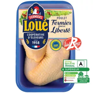 किलोग्राम जांघ प्लाट जेन एक्स2 एलआर किराया