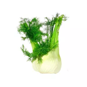 Fenouil Vrac Kg