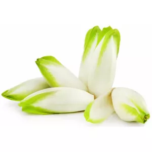 Bq Endive Jne Pousse Fr