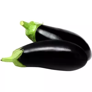 Aubergine Graffiti Vrac Kg