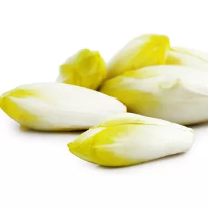 Endives, sachet de 500 g, origine France