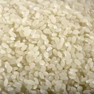 Riz rond blanc 25kg - RIZ DU MONDE