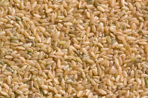 Riz Rond Cargo 25 Kg - RIZ DU MONDE