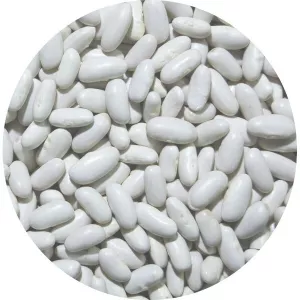 Lingots Blancs 25kg - LÉGUMOR