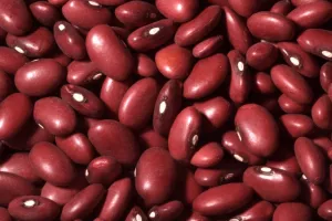 Haricots rouges 25kg - LEGUMOR