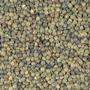 Green Lentils France 25kg - Legumor