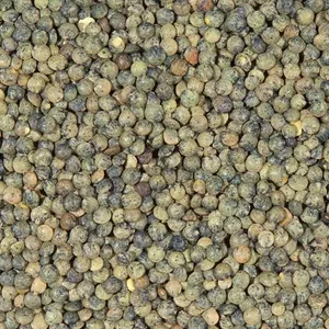 Lentilles Vertes Canada 25kg - LÉGUMOR