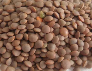 Lentilha Vermelha Inteira 25kg - Legumor
