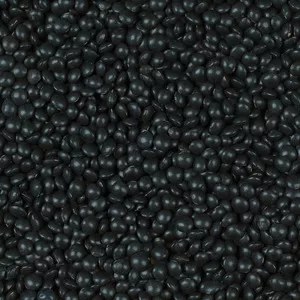 Lentille Noir Beluga Canada 25kg - LÉGUMOR