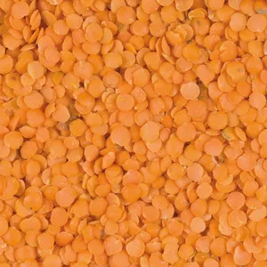 Lentille Corail Décortiquée 25kg - LÉGUMOR