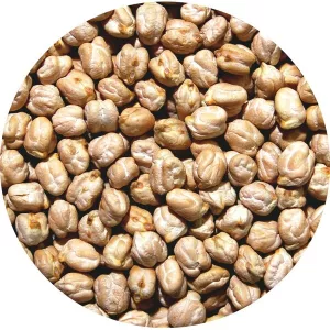 Pois Chiches Très Gros Mexique 25kg - LÉGUMOR