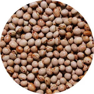 Pois d'Angola 25kg - LEGUMOR