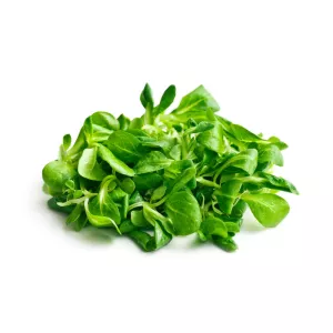 Salade Mâche 200g - FLORETTE