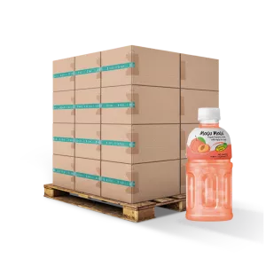 Boisson Pêche Et Nata De Coco 32cl Fr X24 - MOGU MOGU