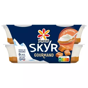 S0 ypl skyr s gari 120gx4 - YOPLAIT