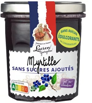 Préparation Myrtille Ssa 320g - LUCIEN GEORGELIN