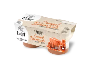 Gezouten Boter Karamel Yoghurt 2x1