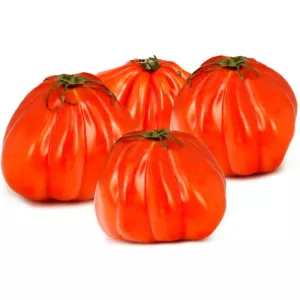 Tomate Allongee Coeur Vrac Kg