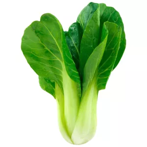 St 2pce Pak Choi Px Rd Hf