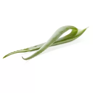 Aloe Vera Bio Piece Fr