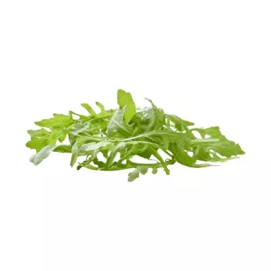 Bq 125g Roquette 1 29