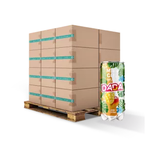 Eau Gazeuse Mangue 33cl Fr X24 Slim - Dada