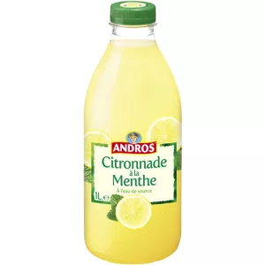 Andros Citronnade Menthe Pet 1