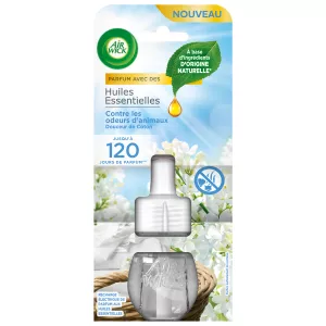 Rechar Elec Ctre Odeurs Jahr 19m