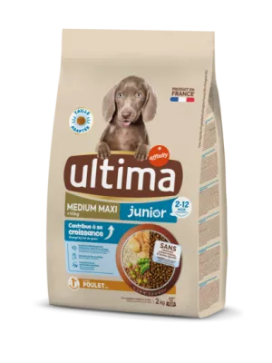 Croquettes pour chien Junior (2-12 mois) de taille medium-maxi (+10kg) saveurs poulet, lentilles, porc, céréales, pois et maïs 2kg - ULTIMA