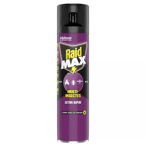 Insecticide Aérosol Multi-Insectes 400ml - RAID