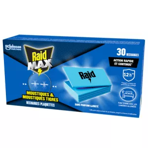 Anti-Moustiques Spirale et Moustiques Tigres Protection Extérieure x10 - RAID
