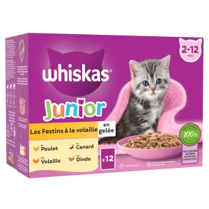 レ フェスティン チキン フィースト 子猫用ゼリー入りフード X12 -  Whiskas