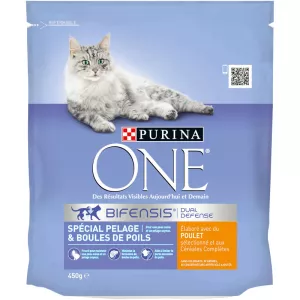 Un alimento secco per gatti per manti da 450 g - PURINA