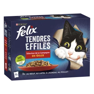 Chakula cha Paka cha Watu Wazima katika Nyama ya Ng'ombe, Sungura, Kondoo na Kuku 12x85g - PURINA FELIX