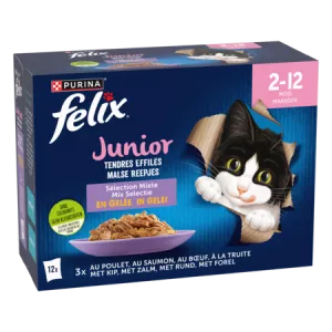 Pâtée pour chat junior tendres effilés en gelée aux goûts poulet (x3), saumon (x3), bœuf (x3), et truite (x3) 12x85g - PURINA FELIX