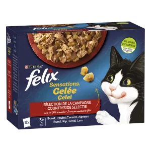 Pâtée Pour Chat Adulte En Gelée Au Bœuf, Au Poulet, Au Canard & Agneau 12x85g - PURINA FELIX