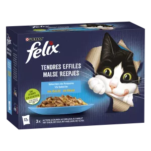 Pâtée Pour Chat Adulte En Gelée Effilés De Saumon, De Thon, De Cabillaud & Carrelet 12x85g - PURINA FELIX