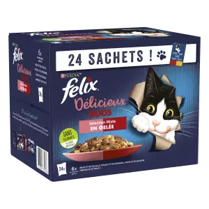Pâtée Pour Chat Adulte En Gelée Multi-variétés De Viandes & De Poissons 24x85g - PURINA FELIX