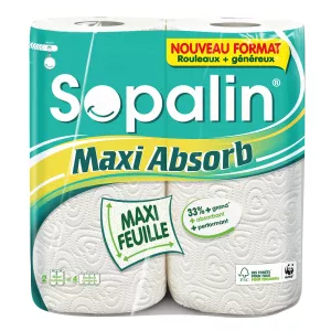 Essuie tout maxi absorb 2=4rl - SOPALIN