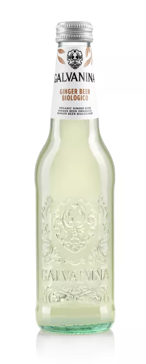 Ginger Beer Bio 355ml - GALVANINA